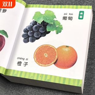 3岁宝宝婴幼儿益智图书识字卡片两岁三岁学前教育画册认知书籍 认物大全认识动物水果蔬菜汽车颜色看图识物儿童早教启蒙绘本0