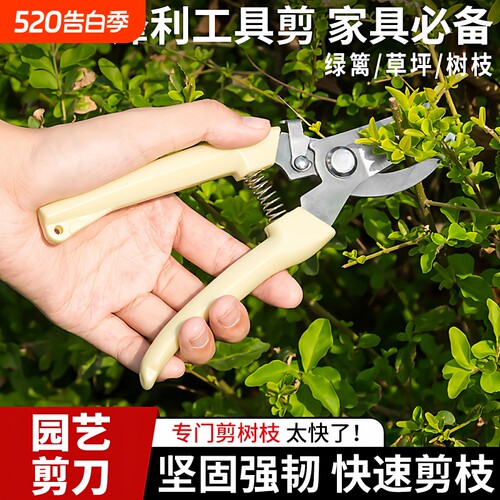 园艺园林修枝剪刀果树花剪
