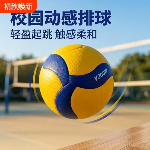 软排球五号尺寸中考专用球训练