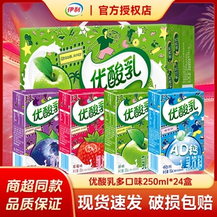 【官方渠道】伊利优酸乳250ml*24盒混合口味原味夏季饮品节日送礼