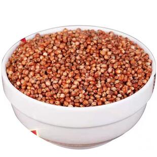 带皮红高梁新鲜红高粱米带皮高粱酿酒喂鸽子饲料杂粮