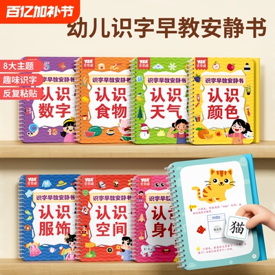 识字早教安静书幼儿启蒙认知卡