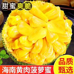 现摘海南三亚黄肉菠萝蜜新鲜水果当季干苞木波罗蜜一整个热带大果