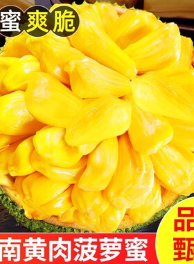 海南三亚黄肉菠萝蜜一整个大果