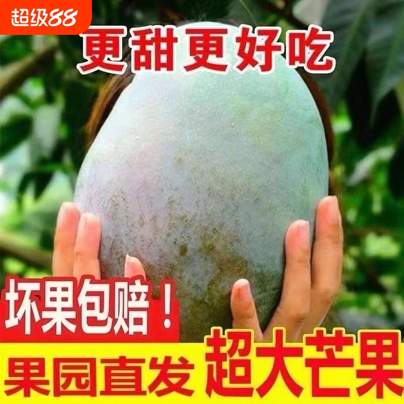 四川攀枝花凯特芒果新鲜水果5斤当季整箱包邮特大10青忙礼盒芒果
