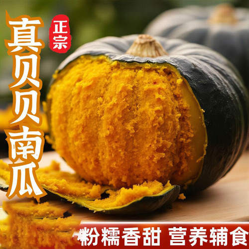 正宗贝贝南瓜板栗小南瓜