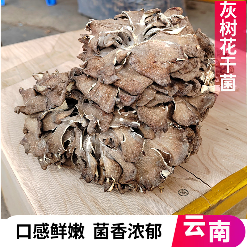 灰树花干货云南特产新鲜舞茸菌菌菇蘑菇类栗蘑灰树煲汤香菇山珍