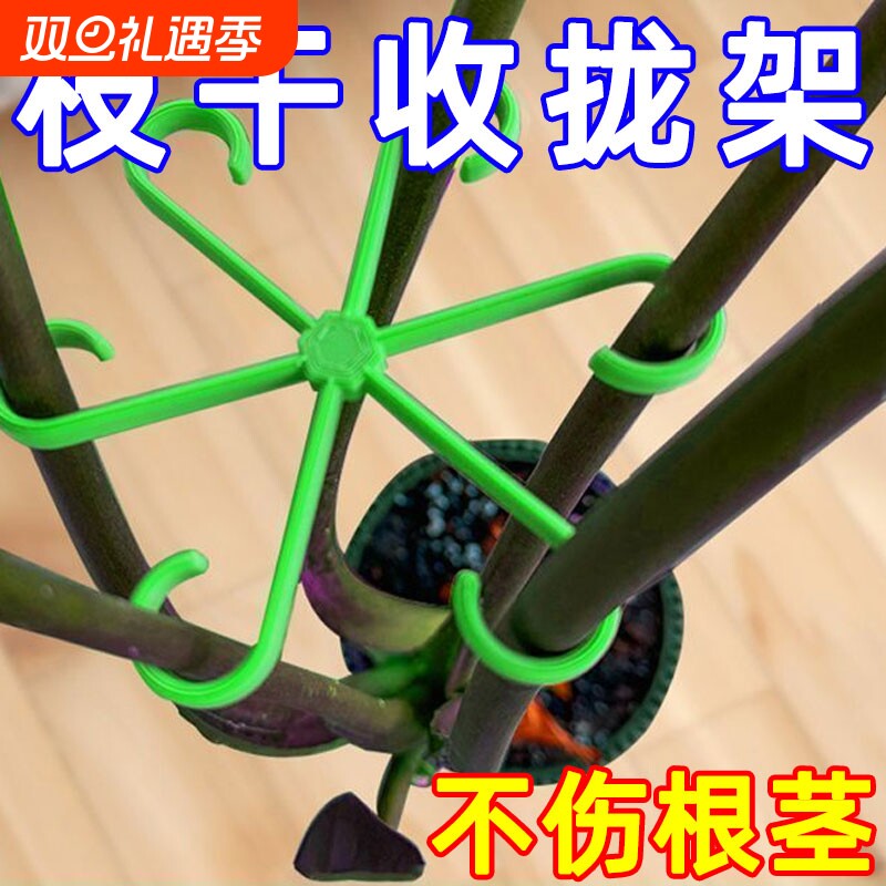 龟背竹支撑固定器倒伏春羽支架水培枝干花盆花卉绿植其它园艺用品