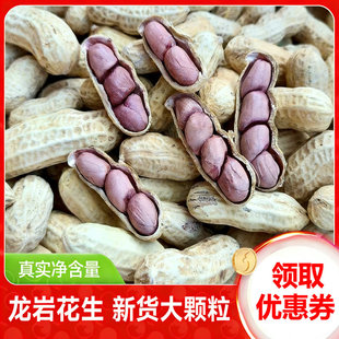 正宗福建龙岩湿烤紫衣花生 红皮五香硬酥脆湿烤四粒红带壳熟花生