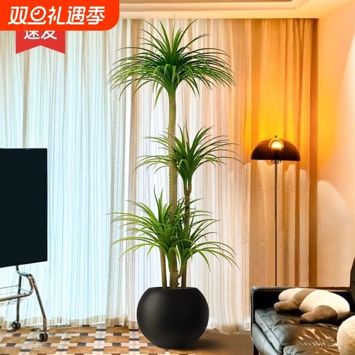 仿真绿植龙血树室内轻奢装饰阳台电视柜旁大型落地摆件花假树植物