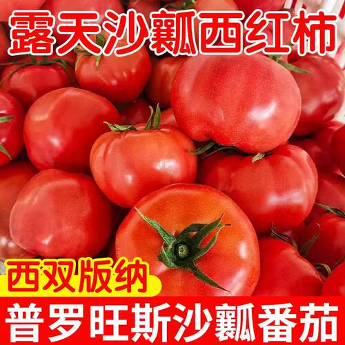 5斤云南西红柿新鲜番茄沙瓤成熟西红柿现摘水果单果130g-200g果王