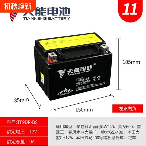 摩托车电瓶ytx9-bs600黄龙通用