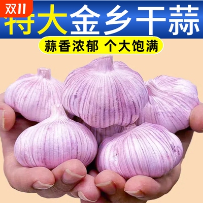 【农家香蒜】金乡紫白皮大蒜头干蒜批发新鲜便宜特大果多瓣香辣蒜