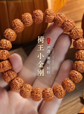爆肉树王小金刚菩提手串本命年男士文玩双龙核桃盘玩佛珠手链串珠