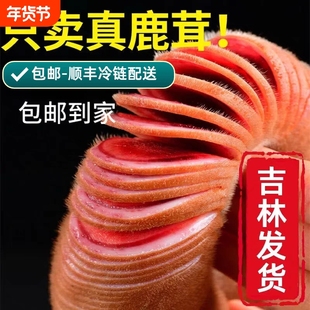 鹿茸片切片鲜鹿茸整枝新鲜吉林鹿茸片正品带血血片头茬泡酒料药材