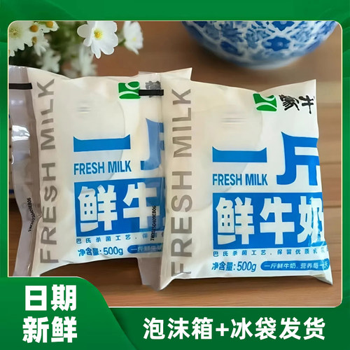 蒙牛大白袋一斤鲜牛奶500ml新鲜整箱巴氏鲜奶儿童营养早餐奶