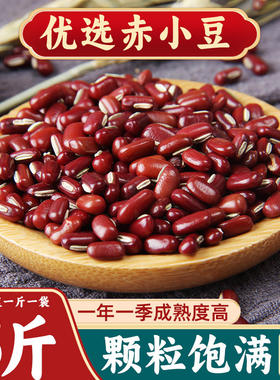 赤小豆中药材五谷杂粮
