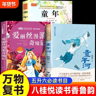 2025暑假万物复书五升六年级八桂悦读书香鲁韵童年精编插图版高尔基著爱丽丝漫游奇境童年河赵丽宏著5升6年级上册必读阅读课外