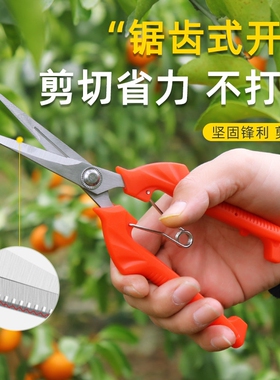 园艺刀剪修花枝摘果神器修剪葡萄水果专用蔬果剪刀工具多规格
