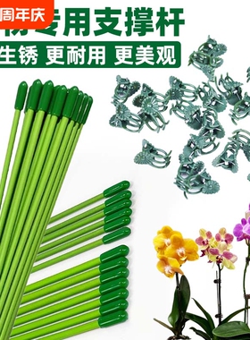 植物固定绿色支撑杆兰花插花蝴蝶兰金钱树绿植花卉盆栽防倒伏扶杆