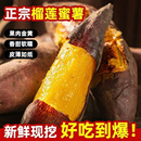 榴莲蜜薯黄金蜜薯新鲜产地直发番薯地瓜黄心蜜薯