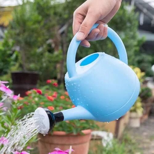 幼儿园儿童可爱洒水壶园艺养花浇水壶家用玩水浇花壶塑料浇花喷壶
