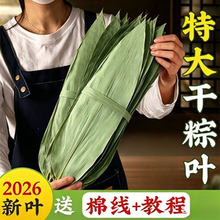 粽子叶干棕叶新鲜特大号新叶包粽子专用的叶子端午节商用批发粽叶