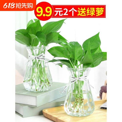 3个9.9元 加厚玻璃花瓶透明北欧ins风创意水培植物绿萝水养插花器