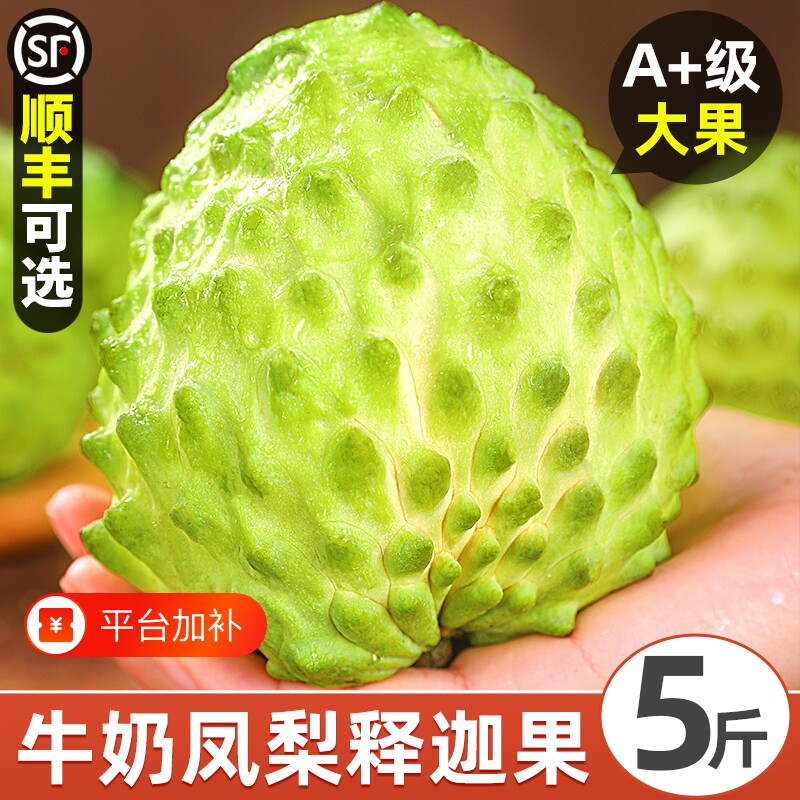 释迦果新鲜番荔枝5斤大目凤梨牛奶佛头果林檎摩尼果当季水果3顺丰