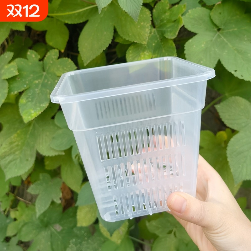 方盆简约控根透气防烂根