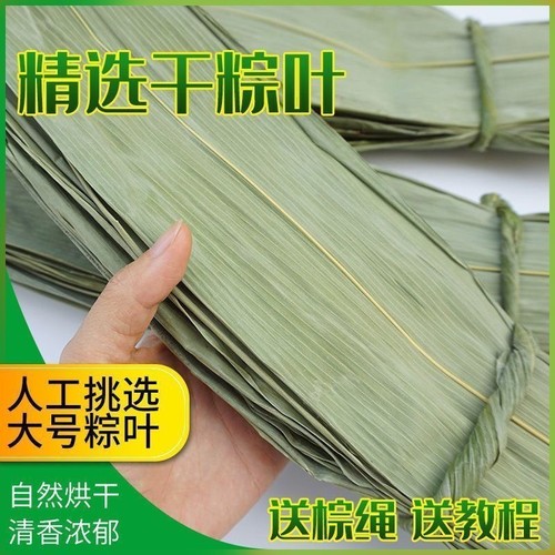 干粽叶新鲜大叶家用纯天然野生粽叶子干大号粽子叶箬叶端午包粽子