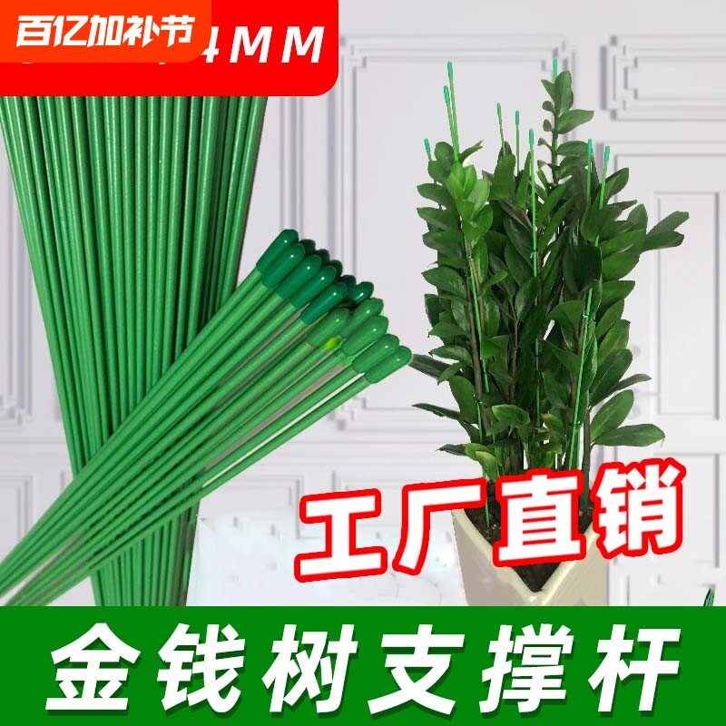 蝴蝶兰花支架兰夹子支撑杆植物爬藤花卉弯曲固定专用铁丝支架园艺