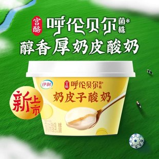 伊利宫酪奶皮子酸奶138g 呼伦贝尔菌株风味酪乳厚奶皮原味凝固型