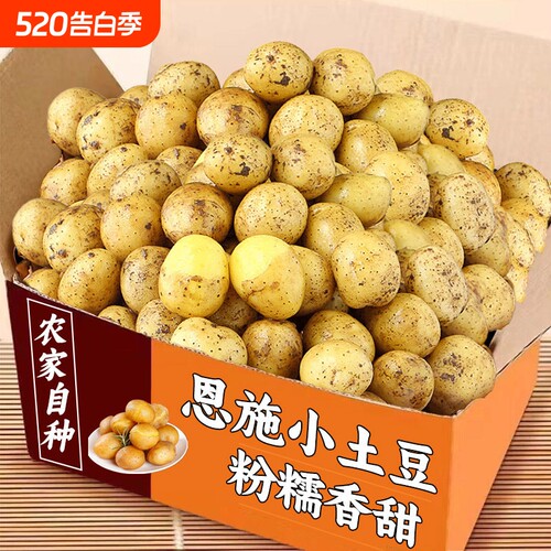 恩施小土豆新鲜黄心包邮