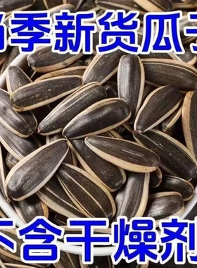 原味大颗粒炒货生瓜子葵花籽新货内蒙古特产批发零食熟葵花子新鲜