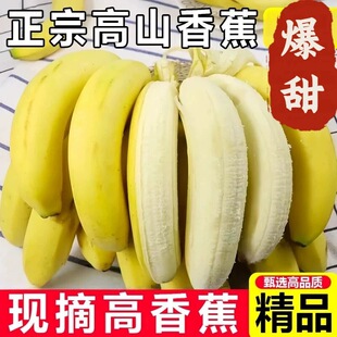 正宗高山香蕉威廉斯绿皮香蕉产地现摘自然熟新鲜应季水果9斤香蕉