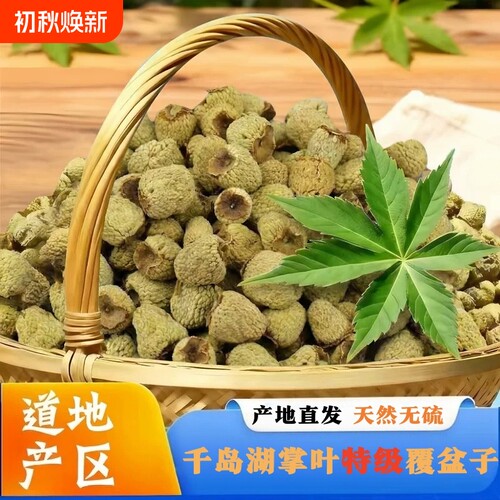 正宗千岛湖高山掌叶覆盆子中药材