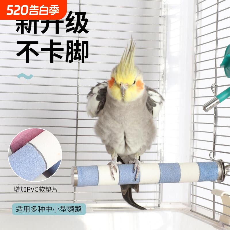 鹦鹉磨爪棒磨砂鸟站杆站棍不锈钢玄凤鹦鹉站架磨甲器磨嘴鹦鹉用品