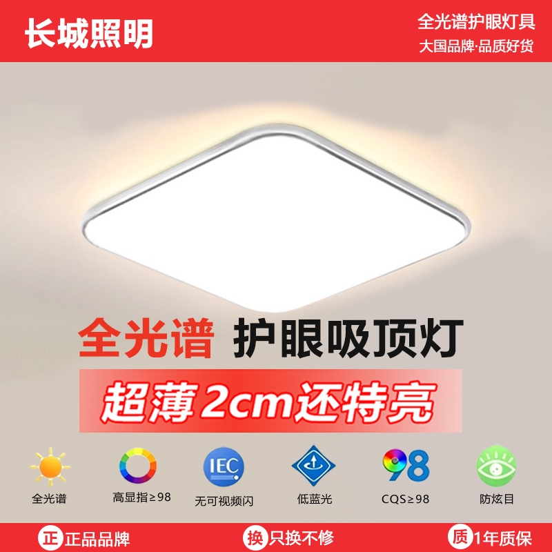 家用客厅吸顶灯大厅主卧室吊灯具