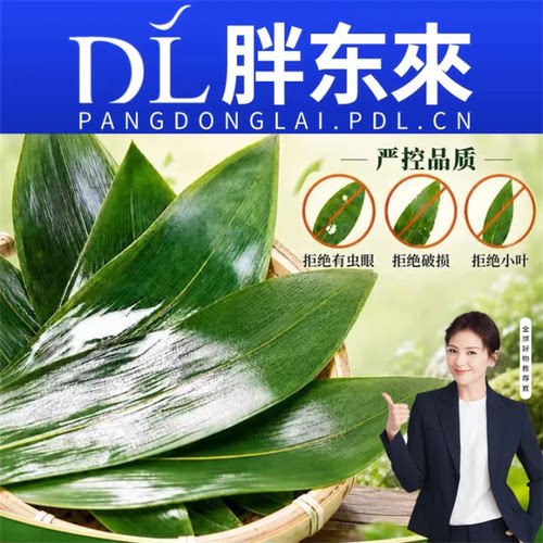 粽叶新鲜粽子叶棕叶特大号野生包粽子专用竹叶子端午节手工材料包