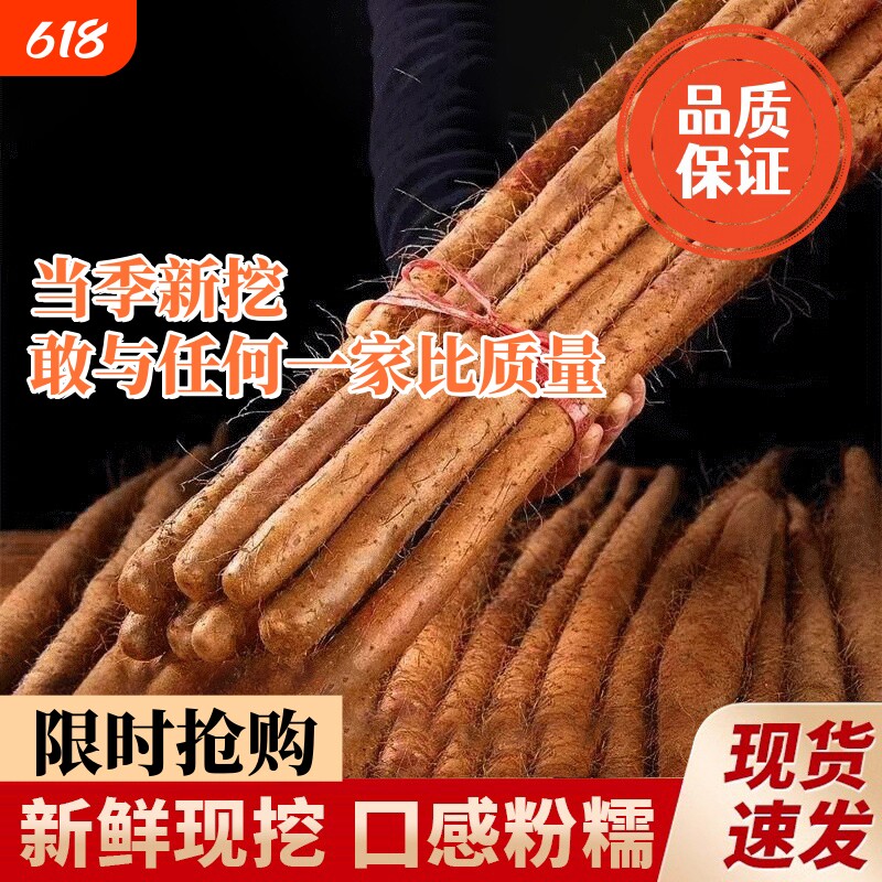 正宗铁棍山药垆土种植现挖现发新鲜采摘整箱五斤淮山药小白嘴山药