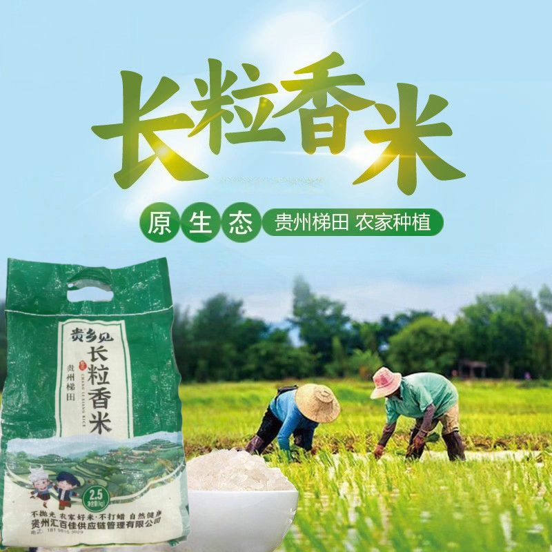 当季贵州梯田长粒香米历经四季农家自种精选大米5斤装