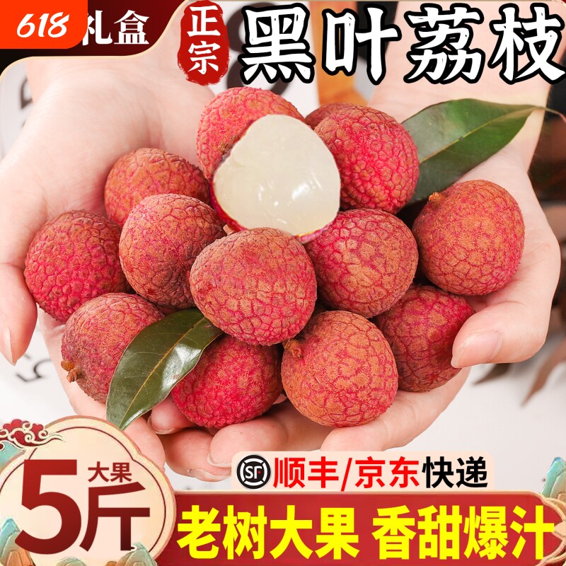 顺丰礼盒 正宗黑叶荔枝5斤装当季新鲜现摘老树大果整箱水果包邮甜