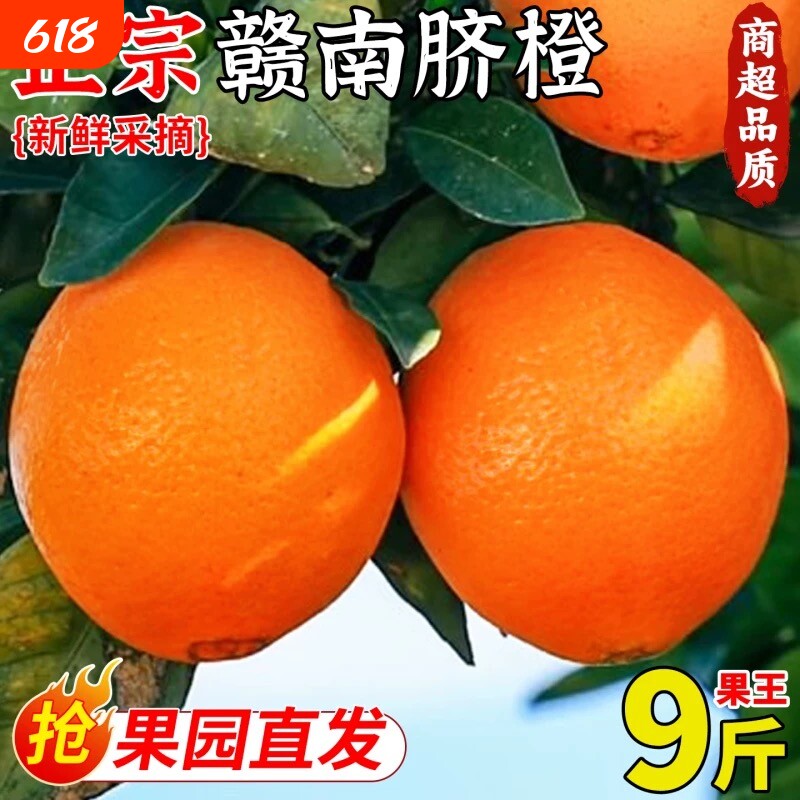 正宗赣南脐橙当季新鲜橙子应季甜橙多汁薄皮大果寻乌脐橙果园年货