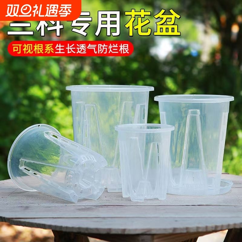 蝴蝶兰专用花盆兰花水苔透明控根生根盆塑料镂空家用阳台客厅耐用