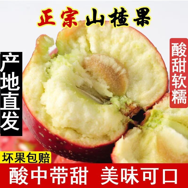 现摘山楂果酸甜冰糖葫芦专用果当季新鲜水果产地直发包邮中秋食用