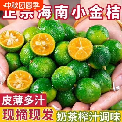 海南小金桔青桔新鲜小青柠檬多汁