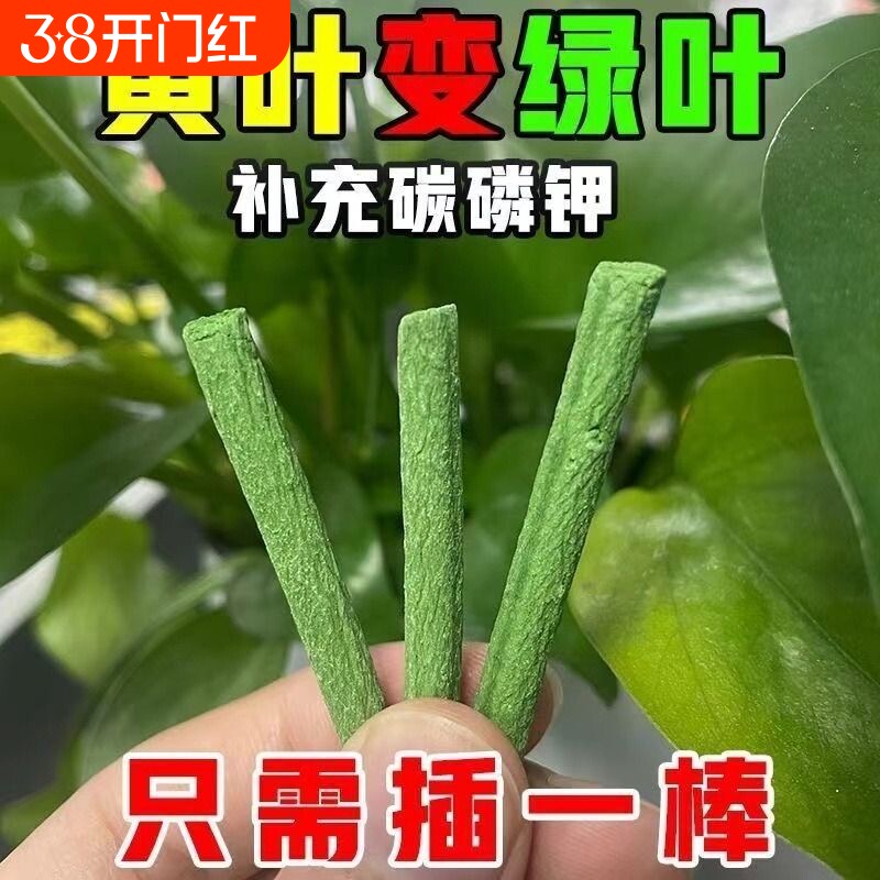 植物营养棒缓释肥料盆栽绿植花卉家用养花通用型营养液片氮磷钾