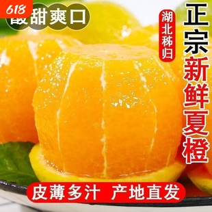 秭归夏橙酸甜脐橙摆摊榨汁专用当季新鲜时令孕妇水果蜜雪同款橙子