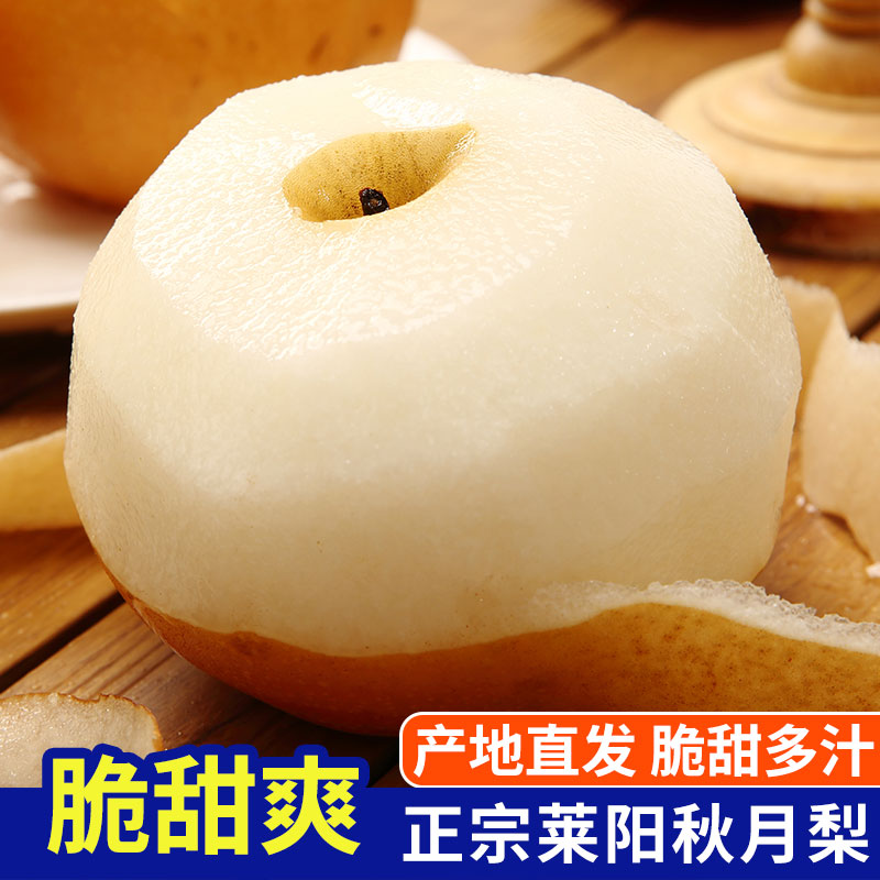 正宗莱阳秋月梨 山东脆甜黄梨子当季新鲜爆甜新鲜水果